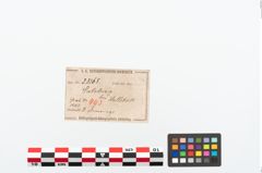 Etikett zu Bronzedrahtarmreif (NHMW-PRAE-025165)